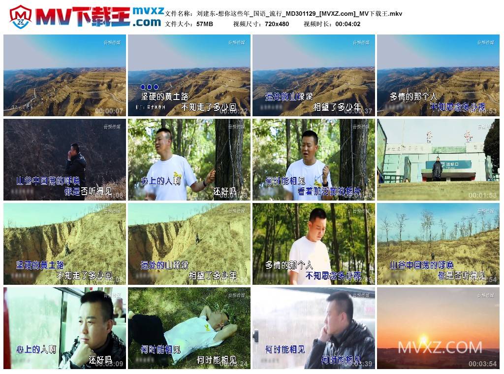 刘建东-想你这些年_国语_流行_MD301129